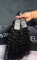 Burmese Curly